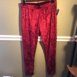 Wine Velvet leggings